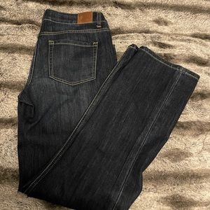 Maurices Dark Wash Jeans